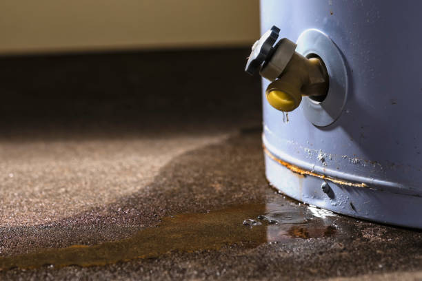Best Water damage cleanup near me  in Central, TN