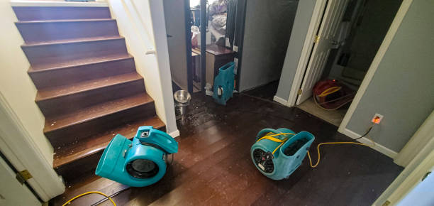 Best Flooded house restoration  in Central, TN
