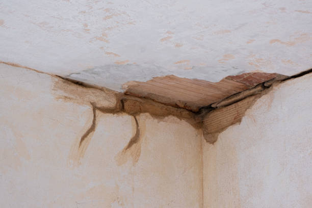 Best Water damage restoration services  in Central, TN