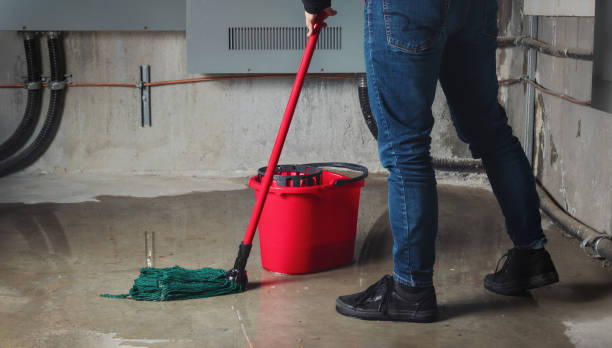 Best Local water damage restoration  in Central, TN