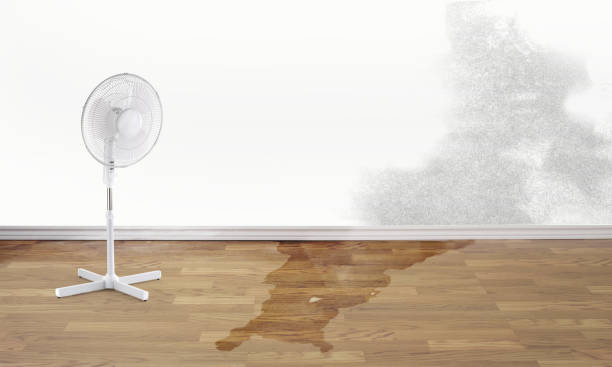 Best Residential water damage restoration  in Central, TN