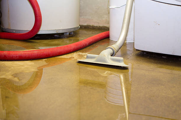 Reliable Central, TN Water damage restoration Solutions