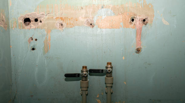 Best Water damage contractors near me  in Central, TN