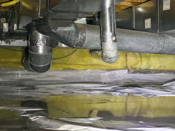 Best Carpet water damage restoration  in Central, TN