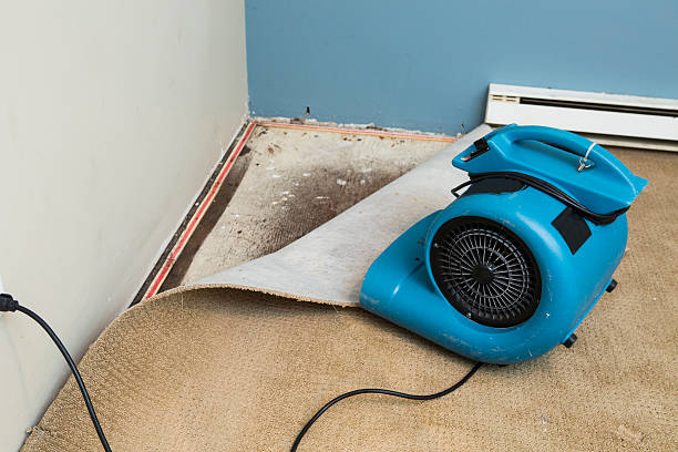 Best Water damage restoration company  in Central, TN
